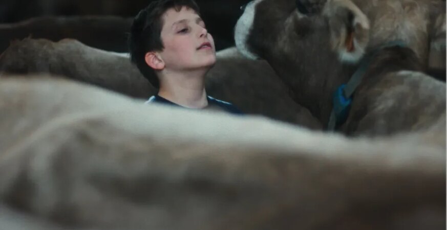 ‘Gabin’ Review: A French Farm Boy Grows Up, Both Fast and Slow, in a Marvelous Cannes Discovery
