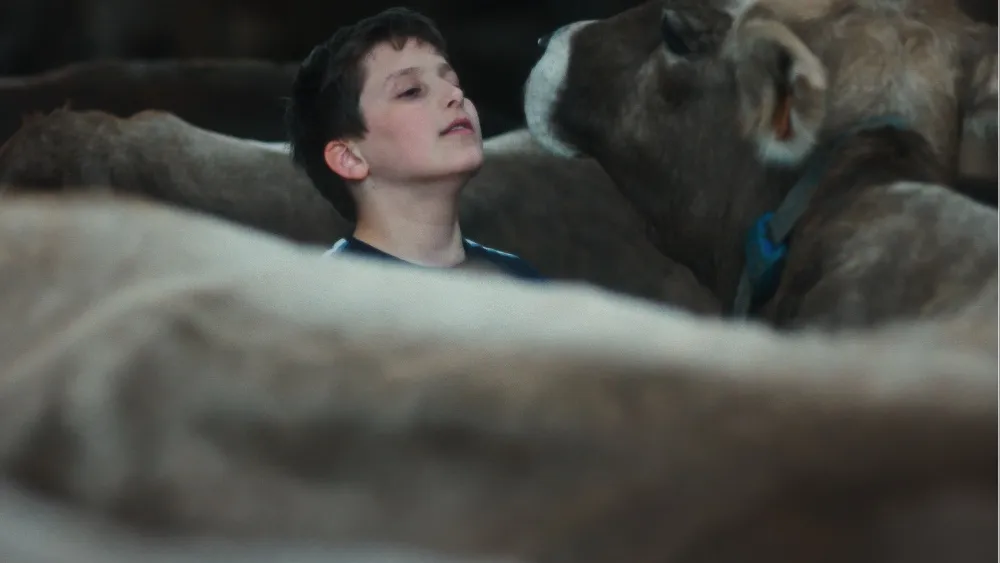 ‘Gabin’ Review: A French Farm Boy Grows Up, Both Fast and Slow, in a Marvelous Cannes Discovery