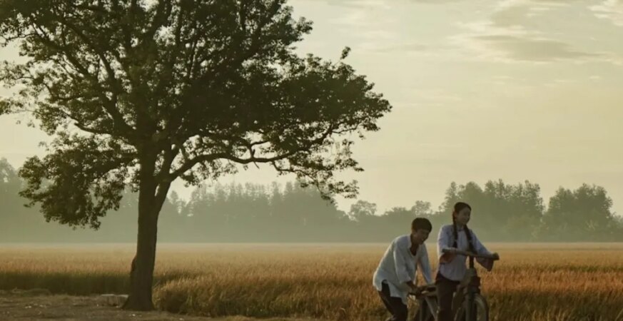 China Box Office: ‘Dear You’ Holds Top Spot as ‘The Sheep Detectives’ Enters Top Five