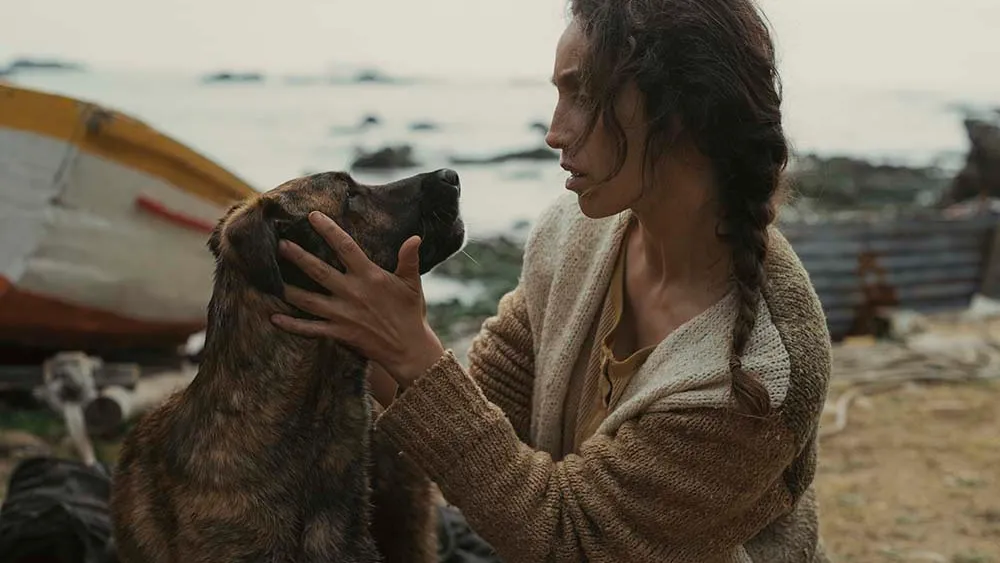Cannes Palm Dog Award Goes to Yuri, Chilean Rescue Dog and Star of ‘La Perra’