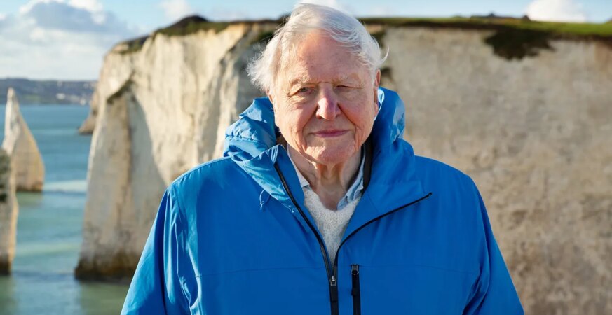 David Attenborough filmed his latest nature doc, Ocean With David Attenborough, at the age of 99.