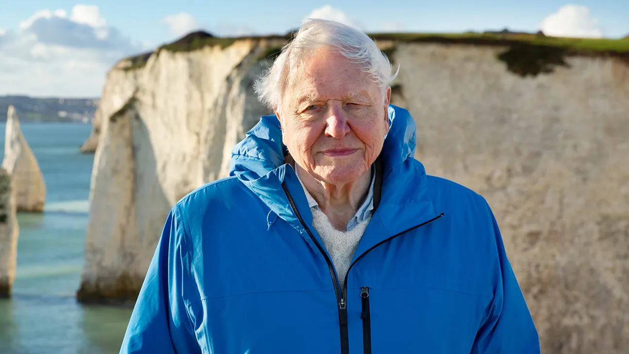David Attenborough filmed his latest nature doc, Ocean With David Attenborough, at the age of 99.