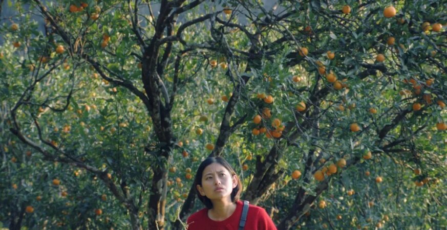 Rana Daggubati’s Spirit Media Sets Indian Theatrical Release for ‘Shape of Momo’ as Payal Kapadia, Zoya Akhtar and Reema Kagti Board Tribeny Rai’s Busan Winner (EXCLUSIVE)