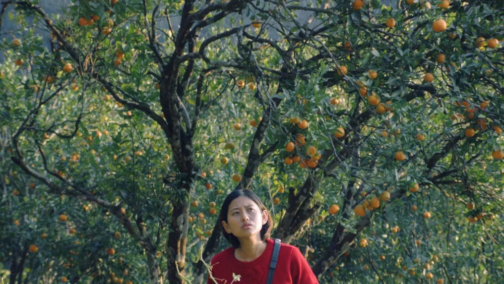 Rana Daggubati’s Spirit Media Sets Indian Theatrical Release for ‘Shape of Momo’ as Payal Kapadia, Zoya Akhtar and Reema Kagti Board Tribeny Rai’s Busan Winner (EXCLUSIVE)