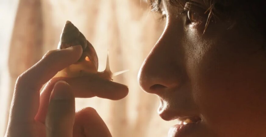 Cannes Short ‘The Dream Is a Snail’ to Get Feature Adaptation (EXCLUSIVE)