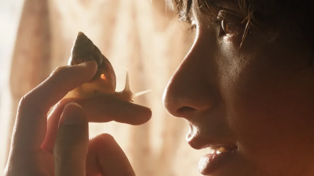 Cannes Short ‘The Dream Is a Snail’ to Get Feature Adaptation (EXCLUSIVE)