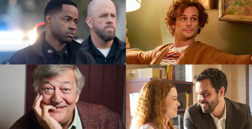 The Rookie: North (ABC), Einstein (CBS), The Interrogator (Fox) and Sunset PI (NBC)
