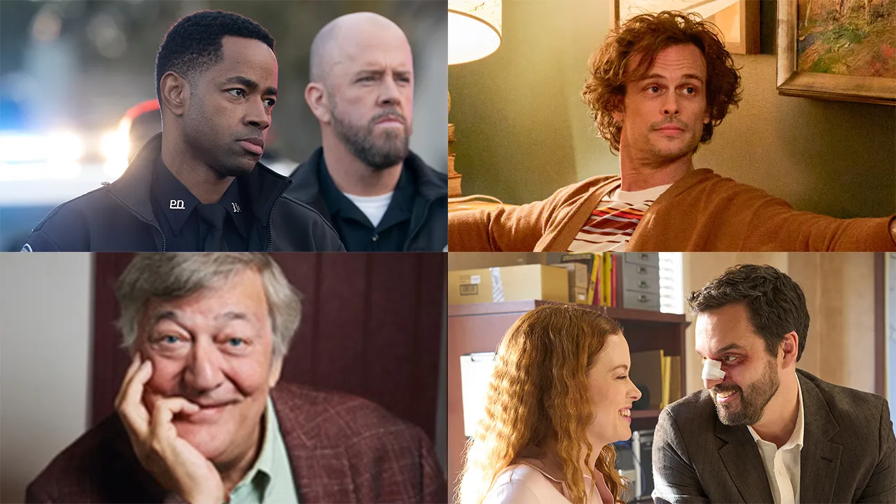 The Rookie: North (ABC), Einstein (CBS), The Interrogator (Fox) and Sunset PI (NBC)