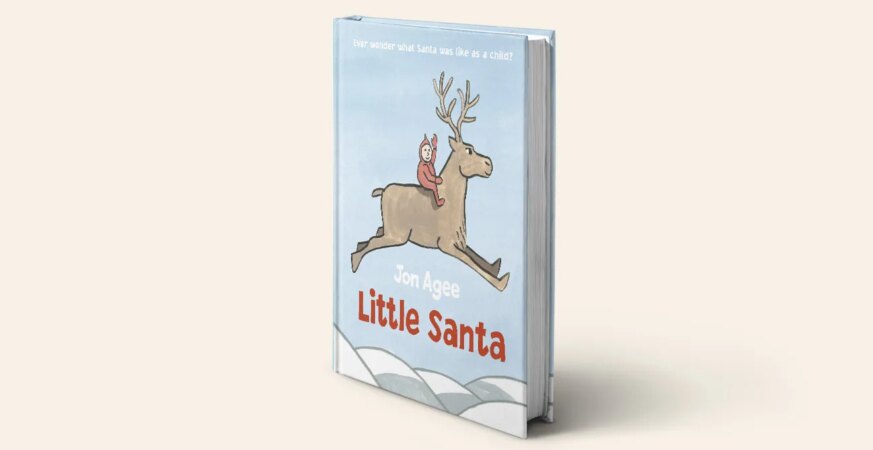 Little Santa book cover