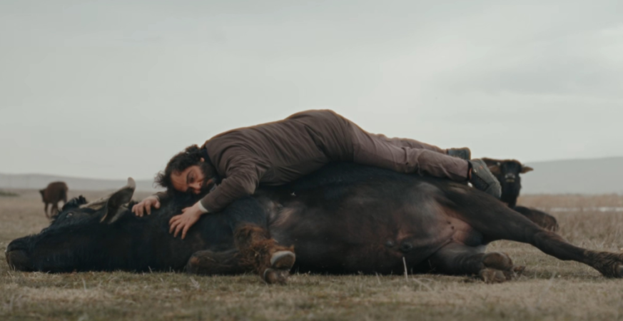 Banu Sivaci’s ‘Hear the Yellow’ Sweeps Taormina Film Festival Awards, ‘Animol,’ ‘Piccolo Miracolo’ Take Home Prizes