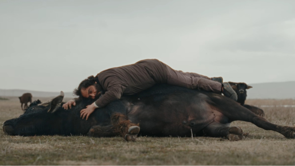 Banu Sivaci’s ‘Hear the Yellow’ Sweeps Taormina Film Festival Awards, ‘Animol,’ ‘Piccolo Miracolo’ Take Home Prizes